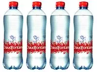 Water Chaudfontaine rood petfles 500ml