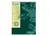 Een Cursusblok Clairfontaine Forever Calligraphe A4 lijn 2-gaats 200 pagina&#39;s 70gr groen koop je bij EconOffice