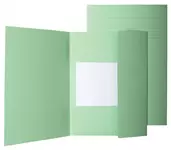Een Dossiermap Quantore folio groen koop je bij Van Leeuwen Boeken- en kantoorartikelen