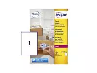 Een Etiket Avery L7167B-100 199.6x289.1mm blockout 100stuks koop je bij EconOffice