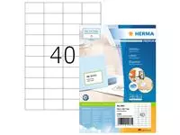 Een Etiket HERMA 4461 52.5x29.7mm premium wit 4000stuks koop je bij EconOffice