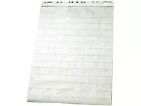 Een Flipoverpapier Esselte 60x85cm ruit/blanco 50vel koop je bij Van Leeuwen Boeken- en kantoorartikelen