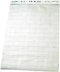 Een Flipoverpapier Esselte 60x85cm ruit/blanco 50vel koop je bij Alles voor uw kantoor