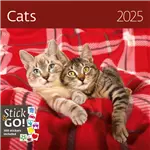 Kalender 2025 Helma 365 30x30cm katten