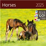 Kalender 2025 Helma 365 30x30cm paarden