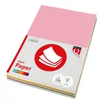 Een Kopieerpapier Quantore Colour A4 120gr 10kleuren x10vel 100vel koop je bij Totaal Kantoor Goeree