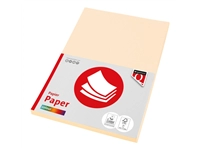 Een Kopieerpapier Quantore Colour A4 160gr creme 50 vel koop je bij Alles voor uw kantoor