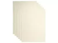 Een Kopieerpapier Papicolor A4 120gr 6vel metallic ivoor koop je bij EconOffice
