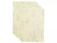 Een Kopieerpapier Papicolor A4 200gr 6vel marble ivoor koop je bij Van Leeuwen Boeken- en kantoorartikelen