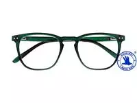 Een Lunettes de lecture I Need You +2.50 dpt Tailor vert foncé koop je bij Van Hoye Kantoor BV