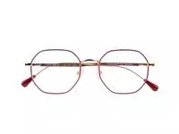 Een Leesbril I Need You +3.00 dpt Yoko rood-koper koop je bij Van Hoye Kantoor BV