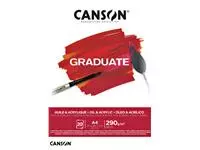 Een Olie Acrylblok Canson Graduate A4 290gr 20vel koop je bij Van Leeuwen Boeken- en kantoorartikelen