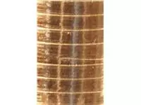 Een Polyband Haza 250mx5mm metallic goud koop je bij KantoorProfi België BV