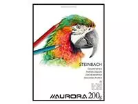 Een Tekenblok Aurora 27x36cm 20 vel 200 gram Steinbach papier koop je bij Van Leeuwen Boeken- en kantoorartikelen