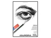 Een Tekenblok Aurora A3 20 vel 200 gram Grain papier koop je bij Van Leeuwen Boeken- en kantoorartikelen