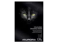 Een Tekenblok Aurora A4 20 vel 120 gram gekleurd tekenpapier koop je bij Van Leeuwen Boeken- en kantoorartikelen