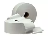 Een Toiletpapier Cleaninq Maxi Jumbo 2laags 380m 6rollen koop je bij Van Leeuwen Boeken- en kantoorartikelen
