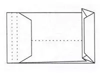 Een Envelop Quantore monsterzak 229x324x38mm zelfkl. wit 10stuks koop je bij KantoorProfi België BV