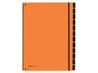 Een Sorteermap Pagna Trend A4 12 tabs oranje koop je bij Van Leeuwen Boeken- en kantoorartikelen
