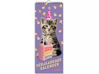 Een Verjaardagskalender Interstat Rachael Hale Kittens koop je bij KantoorProfi België BV
