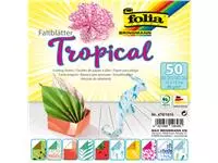 Een Vouwblaadjes Folia 80gr 15x15cm 50 vel 2-zijdig 10 tropical designs koop je bij Totaal Kantoor Goeree
