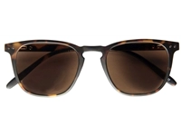 Een Zonnebril I Need You +3.00 dpt Playa havanna koop je bij Klik Office BV