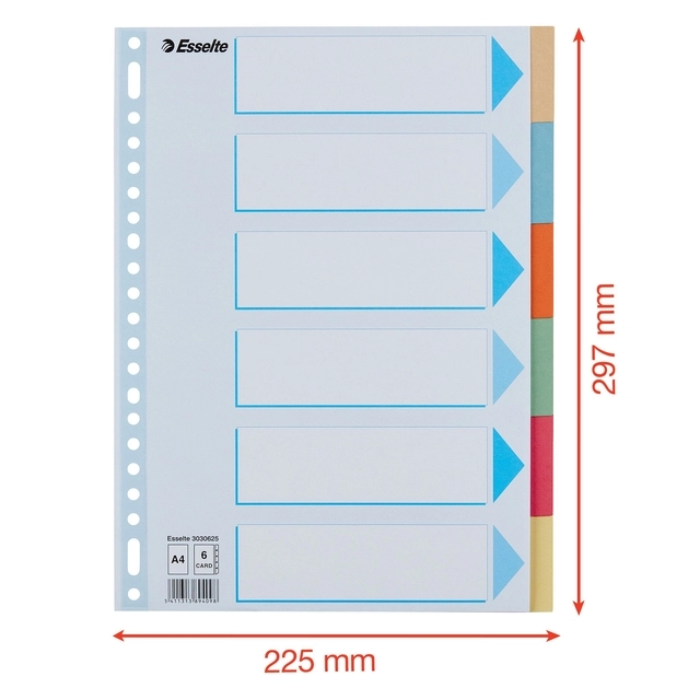 Een Tabbladen Esselte Premium A4 6-delig karton 23-rings assorti koop je bij EconOffice