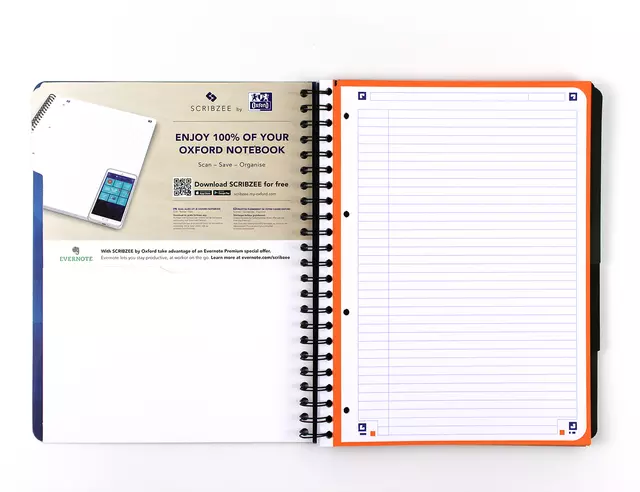 Een Projectboek Oxford School A4+ lijn 4-gaats 240 pagina's 80gr blauw koop je bij EconOffice