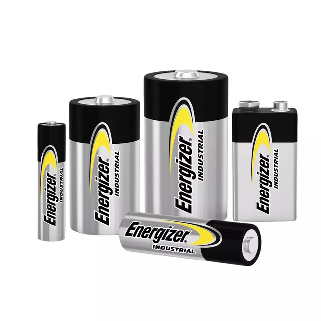 Een Batterij Industrial AA alkaline doos à 10 stuks koop je bij Van Leeuwen Boeken- en kantoorartikelen