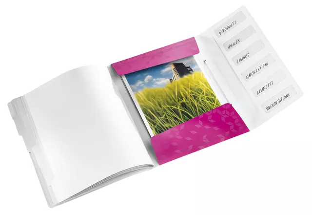 Een Sorteermap Leitz WOW 6 tabbladen PP roze koop je bij Goedkope Kantoorbenodigdheden