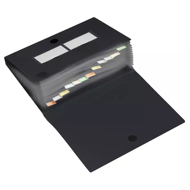 Een Sorteermap HF2 met 12 vakken zwart koop je bij Van Leeuwen Boeken- en kantoorartikelen