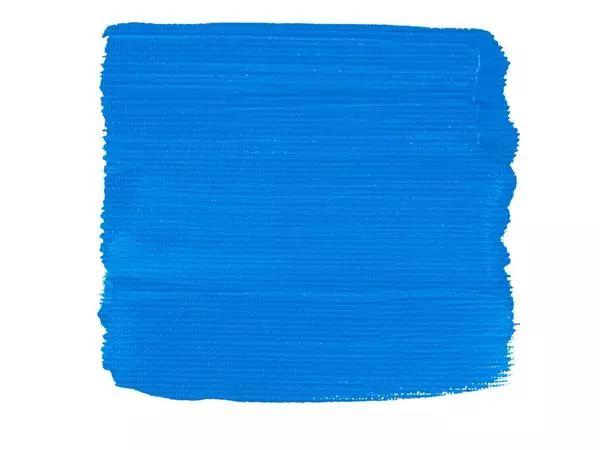 Een ACRYLVERF TAC 564 BRILJANTBLAUW TUBE 75ML koop je bij Kantoorvakhandel van der Heijde