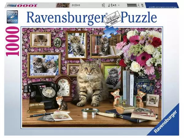 Een Puzzel Ravensburger Mijn katjes 1000 stukjes koop je bij Goedkope Kantoorbenodigdheden