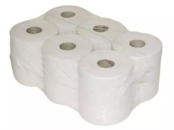 Een Toiletpapier Euro Products Q5 mini jumbo 2l 180m wit 240018 koop je bij NiceSupplies.nl