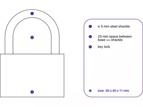 Een Hangslot Pavo 40mm koop je bij NiceSupplies.nl