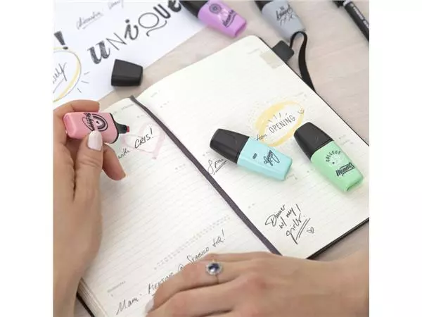 Een Markeerstift STABILO BOSS mini Pastellove assorti etui à 5 stuks koop je bij NiceSupplies.nl