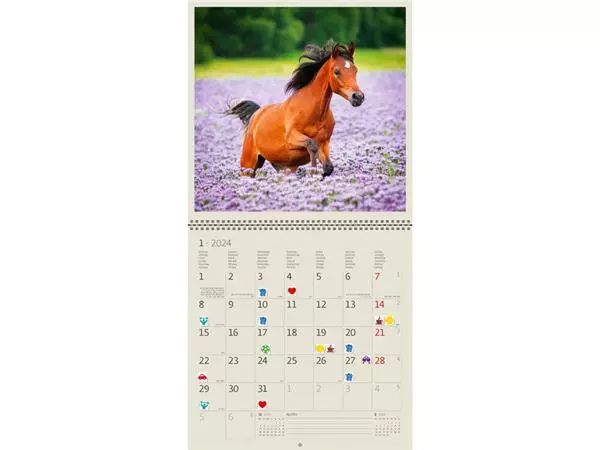 Een Kalender 2025 Helma 365 30x30cm paarden koop je bij NiceSupplies.nl