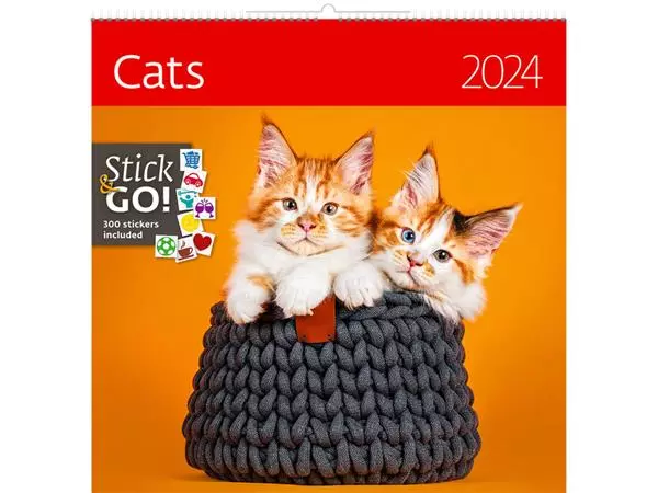 Kalender 2025 Helma 365 30x30cm katten