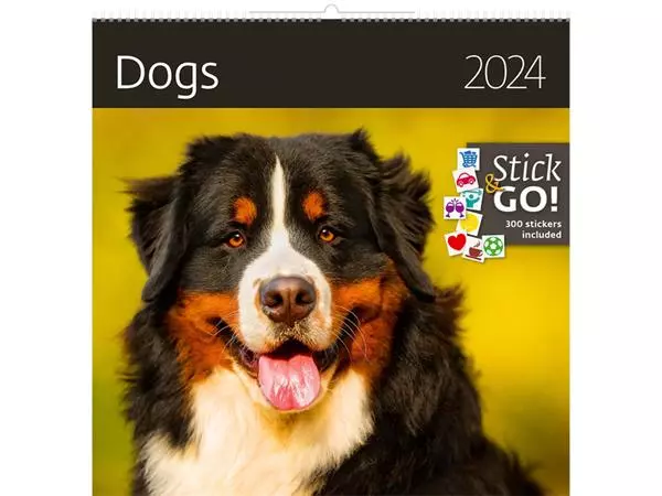 Een Kalender 2025 Helma 365 30x30cm honden koop je bij Goedkope Kantoorbenodigdheden