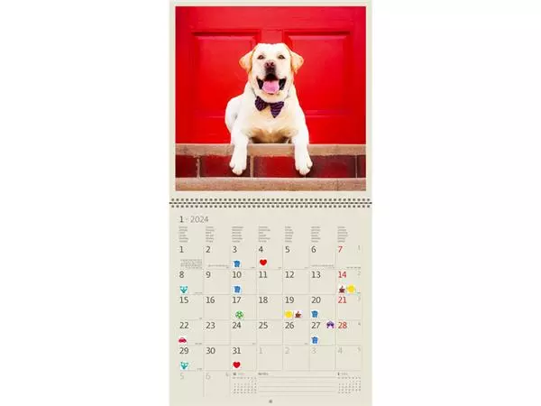 Een Kalender 2025 Helma 365 30x30cm honden koop je bij NiceSupplies.nl