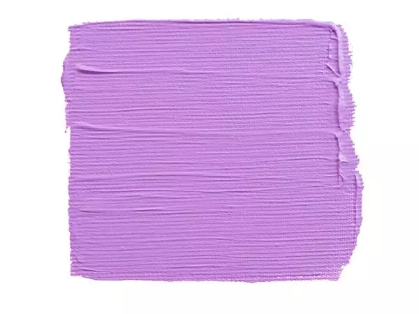 Een ACRYLVERF TAC 579 PASTELVIOLET TUBE 75ML koop je bij Kantoorvakhandel van der Heijde