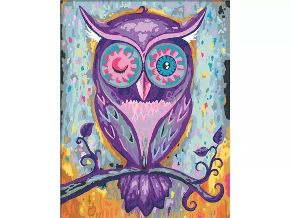 Een SCHILDEREN OP NUMMERS CREART DREAMING OWL koop je bij Kantoorvakhandel van der Heijde