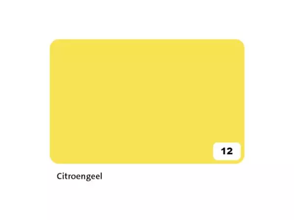 Een Fotokarton Folia 2-zijdig 50x70cm 300gr nr12 citroengeel koop je bij Totaal Kantoor Goeree