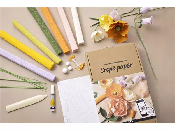 Een Crêpepapier Creativ Company DIY starterset bloemen koop je bij Unimark Office B.V.