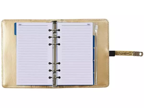 Een ORGANIZER KALPA PERSONAL + AG24-25 7D/2P CROCO GD koop je bij Kantoorvakhandel van der Heijde