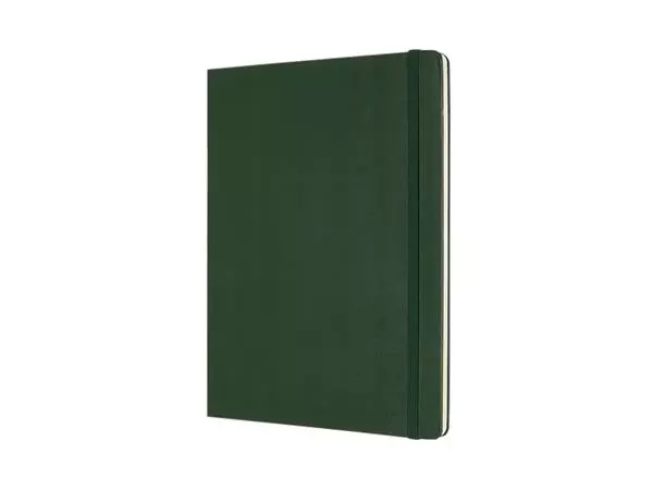 Een Notitieboek Moleskine XL 190x250mm blanco hard cover myrtle green koop je bij NiceSupplies.nl