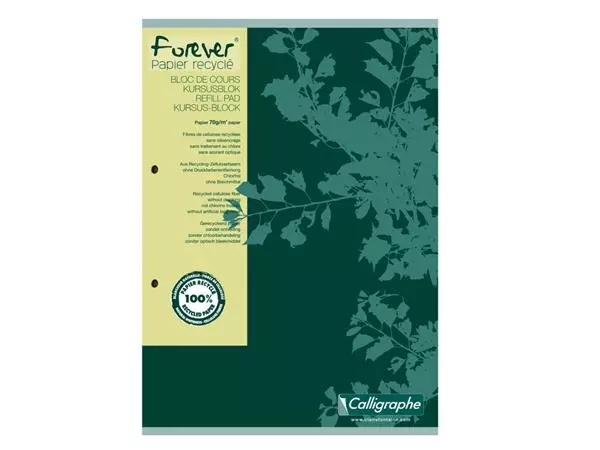 Een Cursusblok Clairfontaine Forever Calligraphe A4 lijn 2-gaats 200 pagina's 70gr groen koop je bij Van Leeuwen Boeken- en kantoorartikelen