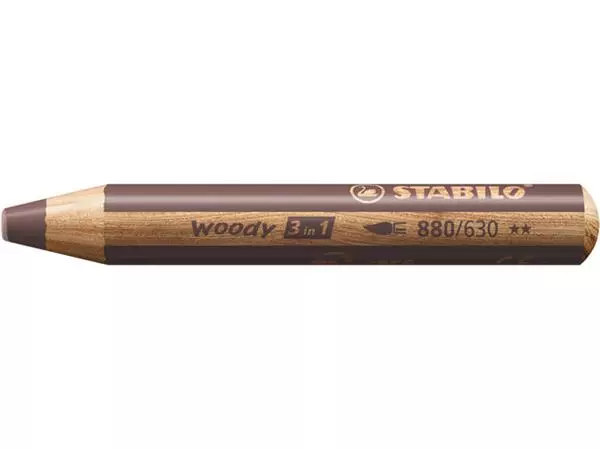 Een Crayon de couleur STABILO 880 woody 3-en-1 multi-surfaces brun koop je bij Van Hoye Kantoor BV