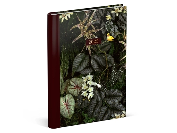 Buy your Agenda 2025 Lannoo Botanic 7dagen/2pagina's dark green at QuickOffice BV