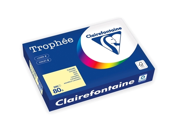 Een Kopieerpapier Trophée A4 80gr geel 500 vel koop je bij Van Leeuwen Boeken- en kantoorartikelen